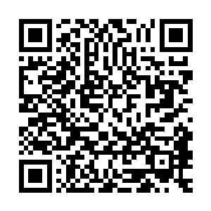 要不是不会瞬移的话就算是对上上位神级别的强者也不见得会败二维码生成