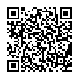 要不是他们两个因为十几个师弟的死以及楚暮的可怕而心生退意二维码生成