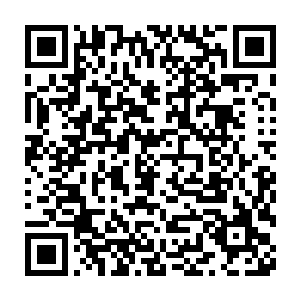 要不是我你们公司的人也不会叫泰妍上我们结婚了这样的综艺节目的二维码生成