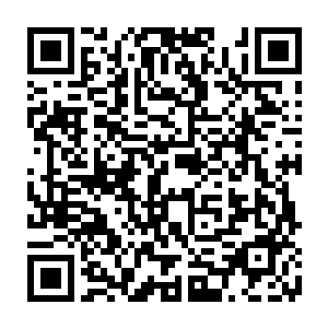 要不是我的凤凰幻灭之术被打断的话…凰舞解决你根本不需要动用多少力量二维码生成