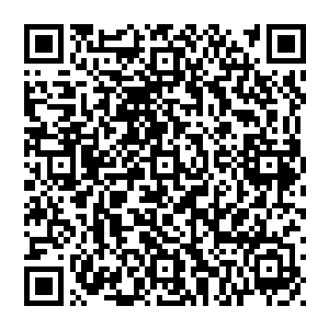 要不是所有的魔化傀儡在傀儡蠕虫母虫死亡后按照它们的本能依然只会在最后感应到母虫存在地方的周围活动二维码生成