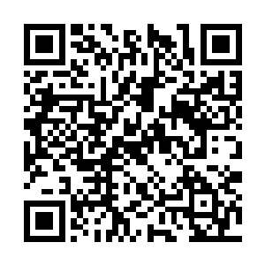 要不是看在你是人族的份上刚刚老夫就不会搭理你二维码生成