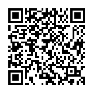 要不是这次上级命令他们这群虚能力者要听从d组织骇客的指挥二维码生成