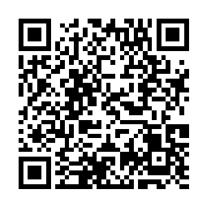 要不是那位前辈让我们不要碰你的话我们恐怕都会忍不住的二维码生成