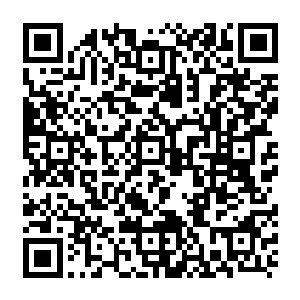 要不是门派里交代进入试练后遇到他就必须照顾一下他才懒得理会这个麻烦的小鬼二维码生成