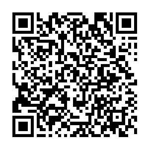 要不是雷林自己也在当初曼克斯特巨蛇的实验室里面看到过同样的内容二维码生成