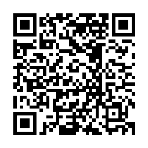 要不然在刚进标本室时我也不会看到从他眼里看到那些景象了二维码生成