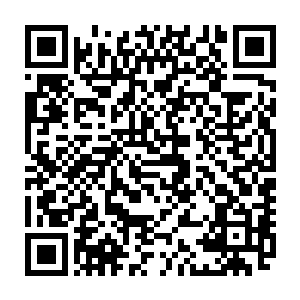 要不然她也不会在每次任务后都用很长一段时间去清理识海中的意识沉淀垃圾二维码生成