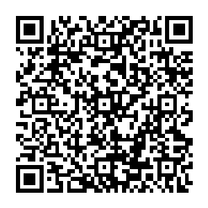 要不然跪在门口的时候石猴怎么什么都敢从嘴里往外蹦――反正你不说他也会知道二维码生成