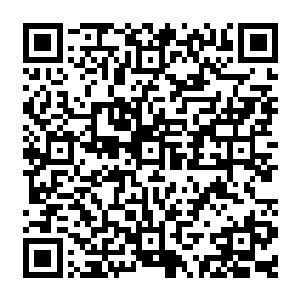 要不要让头脸和咽喉等要害部位的肌肤也经历一次这样的换肤洗礼着实让江少游纠结了一番二维码生成