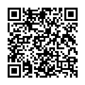 要不要趁这个机会掐两把试试墨修尧的反应和墨小宝的能耐呢二维码生成