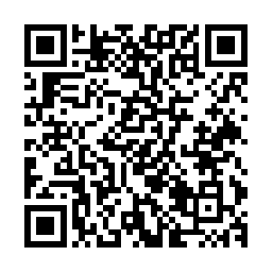 要为宗门诞生了一个超级妖孽而欢乐……着实为难这帮峰主了二维码生成