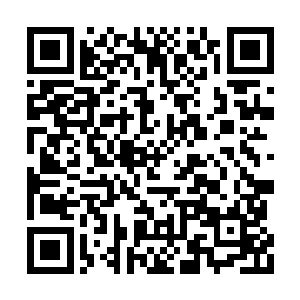 要么是一些一级宗门或者家族的宗主和家主之类二维码生成