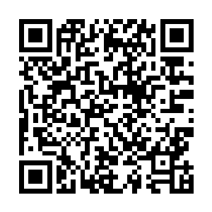 要做到远距离的精确狙击其实不光是枪手打得一手好枪法二维码生成