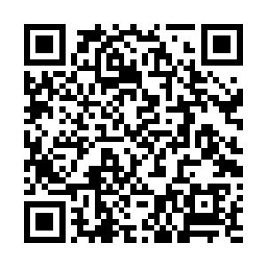 要和洛伦佐还有那个什么克劳迪奥抢西塞罗家族的控制权二维码生成