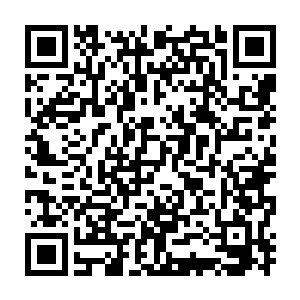 要回去现在就可以回到主物质世界……但是既然来到了地狱当中……二维码生成