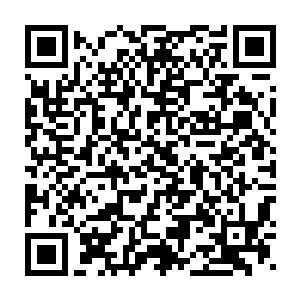 要在这广袤的森林中找到两大门派的具体位置并不是件容易的事情二维码生成