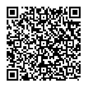 要完整的切开内部 那么就要断了这连接在石心上的纹路 否则的话 就会毁了这里面的二维码生成