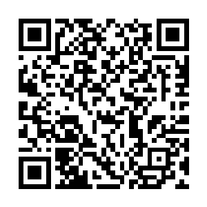 要忍住呀……大狗……阿熊……唉……不在啰……二维码生成