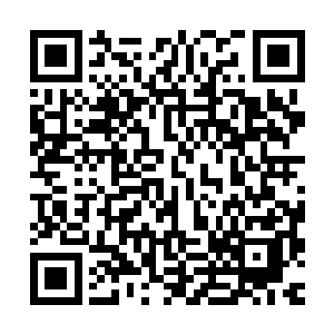 要想将千多头纯种的西门塔尔牛繁育到几十万几百万的商用程度二维码生成