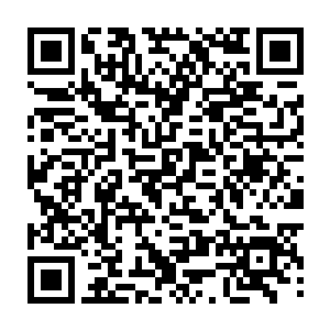 要是他每次都可以获得这么多贡献值不就用不了多久就可以离开莫家了么二维码生成