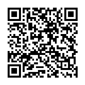 要是你放弃反抗跟我回天煞盟的话我绝对不会动你一根汗二维码生成