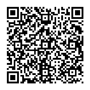 要是修仙界中的修士知道许紫烟竟然想用二百颗一元丹将两个废材父母给提升到炼气期二维码生成