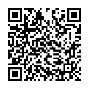 要是全盛时期的他们纵使不敌也可以花一定的代价逃离二维码生成