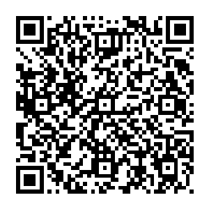 要是再诞生多一点蛇怪也许就能压垮他们之间的平衡让他们力所不及的被蛇怪侵没二维码生成