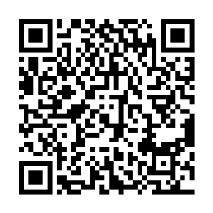 要是刚才的攻击打在了打他身上的话恐怕也会受不清的伤势二维码生成
