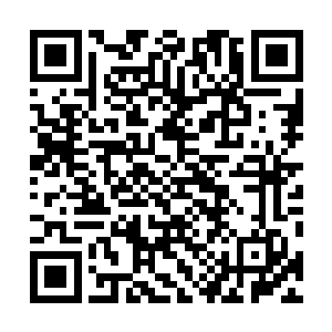 要是到时候你没被你们魔王宰了到修魔界后再来找我们吧二维码生成