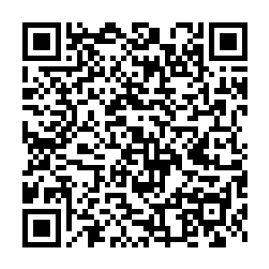 要是我们休斯家族不再去找他的麻烦的话龙傲天是不会为难我们的二维码生成