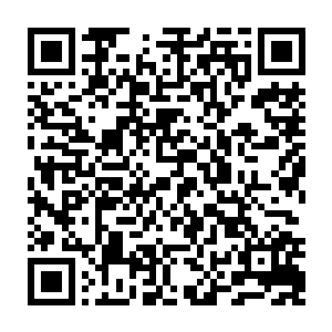 要是能枕在女神的大腿上睡一觉估计一定会很爽――洪大力使劲摇了摇头二维码生成