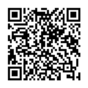 要是被他们知道的话恐怕一定会不惜一切代价将你消灭的二维码生成