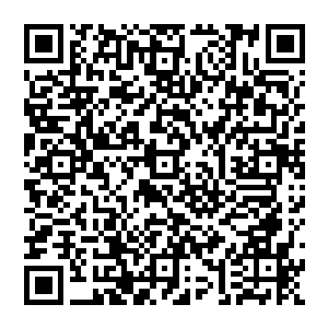 要是让一个才刚刚从事教师职业没有两个月而且年轻地有些过份地家伙来担任学校的常务副校长二维码生成