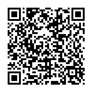 要是让他发现了我们的不轨意图的话恐怕我们就没有办法获得天蛇果了二维码生成