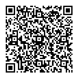 要是让你家中的河东狮知道你今天原本能给她带回去一颗两界花的果实而最终因为你脸皮薄没有带回去二维码生成