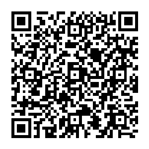 要是许德拉渡劫成功之后有着许德拉的庇护或许两个人的安全不会受到什么太大的威胁二维码生成