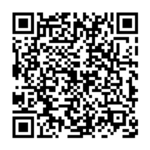 要是赵纯良代表了华南第一军官学校去跟东北第二军官学校对着干二维码生成