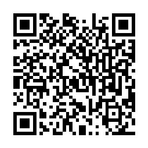 要是这枚白卵离开黑仔太久不用几息就直接完全死去了二维码生成