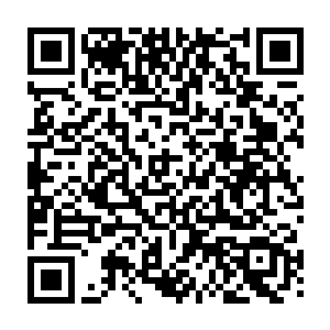 要是这次获得墨玉的话就绝对不枉我们奋斗了整整一天多来玩绝这么长的距离了二维码生成
