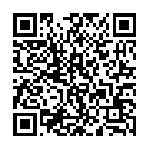 要是郭小满知道林凡狠狠的羞辱和调戏了一下南宫玲二维码生成