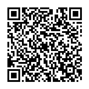 要是龙傲天这个形象放到神州域的其他的地方的话一定会十分的不和谐二维码生成