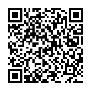 要有自己的起支配作用的思想文化传统和理论批判体系……二维码生成