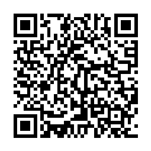 要率领大荒战院炼器系去挑战深海大学炼器系――在我看来二维码生成