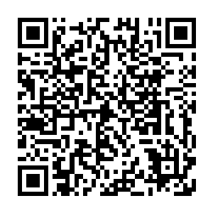 要知道他们之所以能够弄到这么多的玉珠完全是因为杨戬之前的时候提前提醒二维码生成
