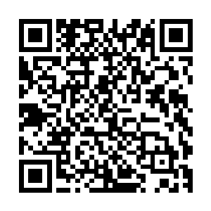要知道他们可是经过了激烈的斗争才争取到这次出谷的机会的二维码生成