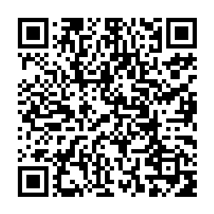 要知道罗斯柴尔德家族族长甚至是可以对美国总统先生指手画脚的大人物二维码生成