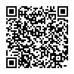 要知道这次他们自己准备材料的话他们肯定会为了自己的法宝而倾家二维码生成