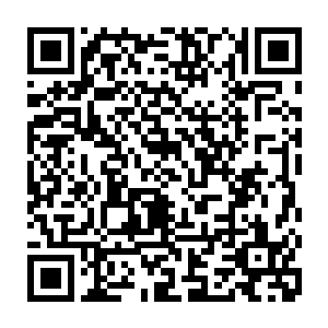 要知道雷兽刚才的这一击就算是比起之前的星辰巨兽的攻击也绝对是丝毫不若二维码生成